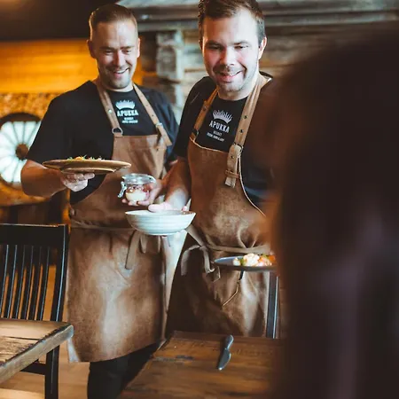 Отель Apukka 4*