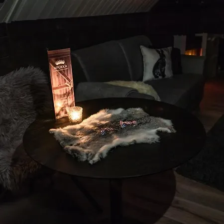 Hotel Apukka Rovaniemi